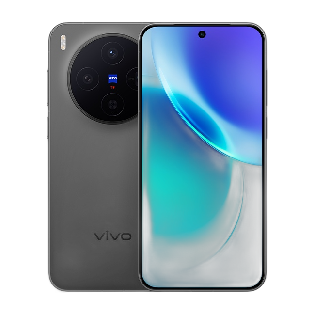 Vivo X300